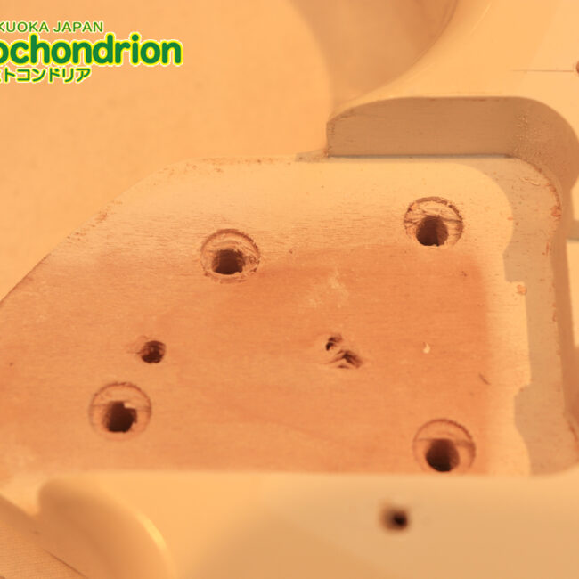 TokaiのオリジナルシェイプのSXシリーズ！状態も良いです！