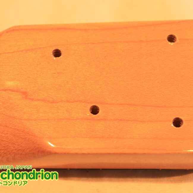 TokaiのオリジナルシェイプのSXシリーズ！状態も良いです！