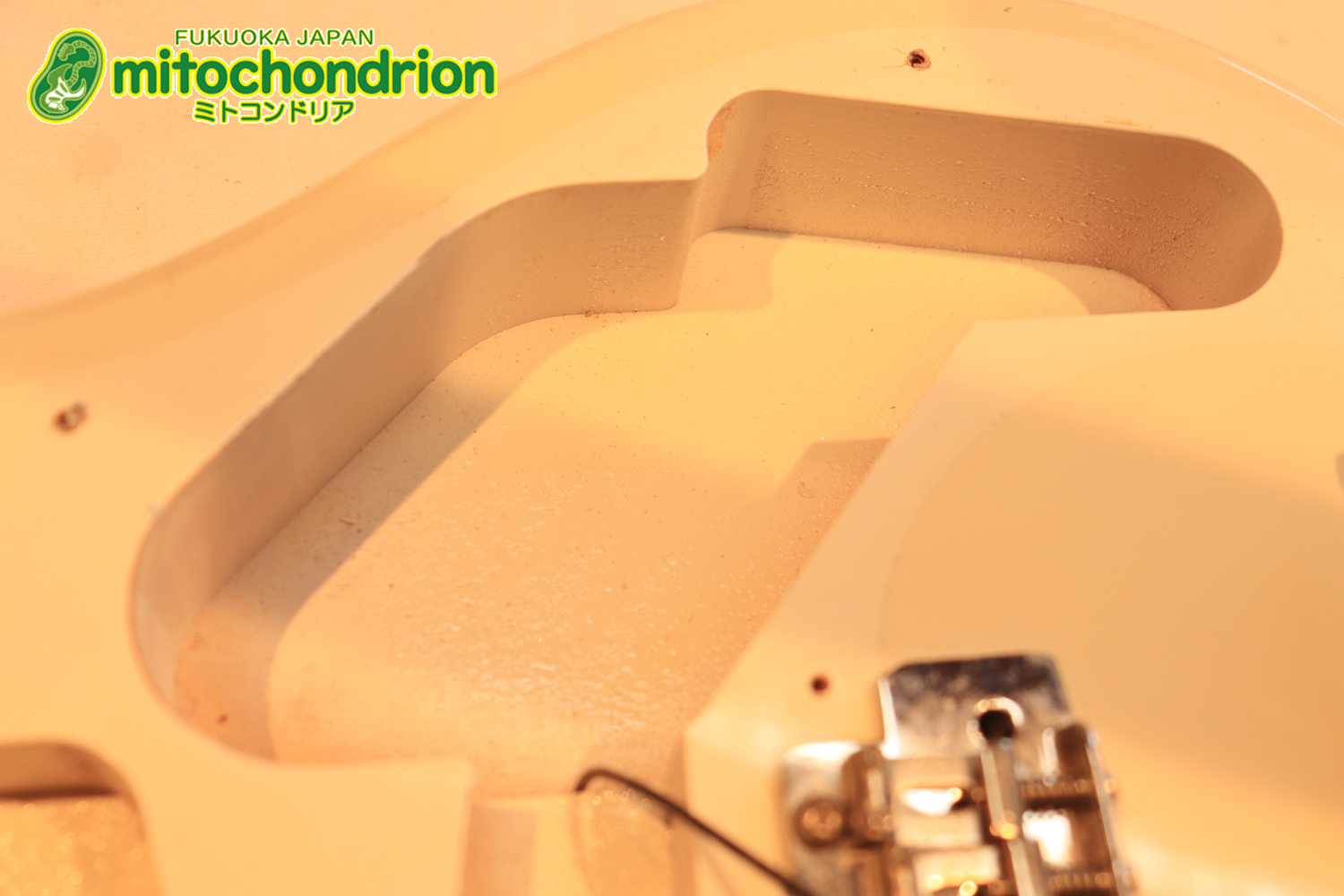 TokaiのオリジナルシェイプのSXシリーズ！状態も良いです！