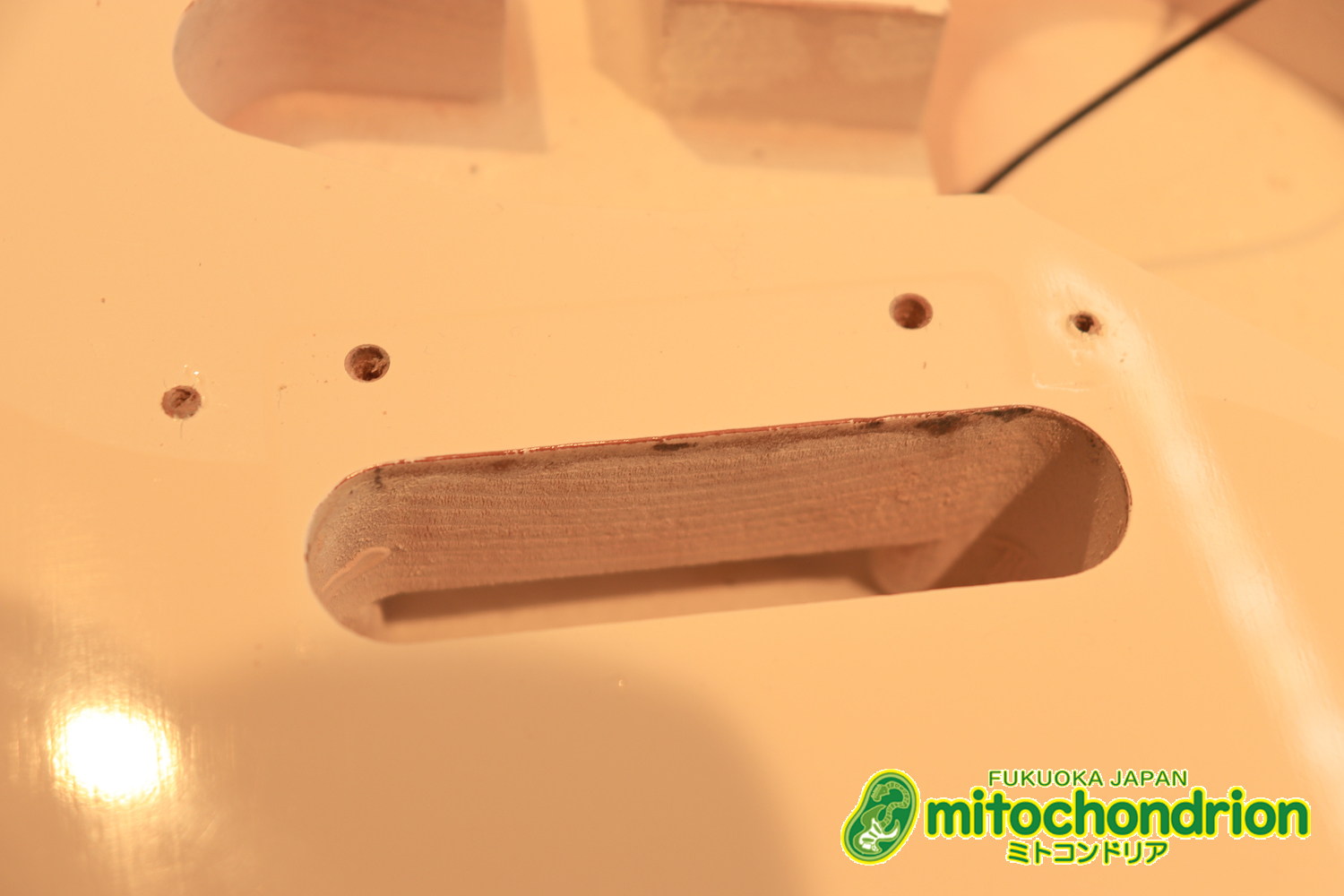 TokaiのオリジナルシェイプのSXシリーズ！状態も良いです！