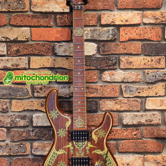 2020年に生産完了してしまったヴァイオレータのシタールです！