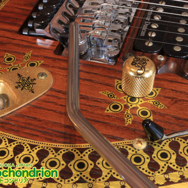 2020年に生産完了してしまったヴァイオレータのシタールです！