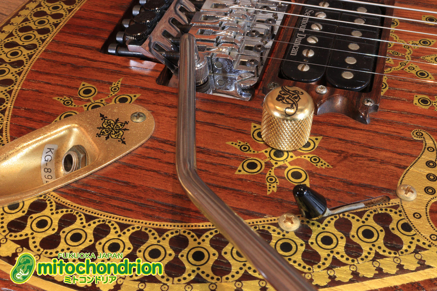 2020年に生産完了してしまったヴァイオレータのシタールです！