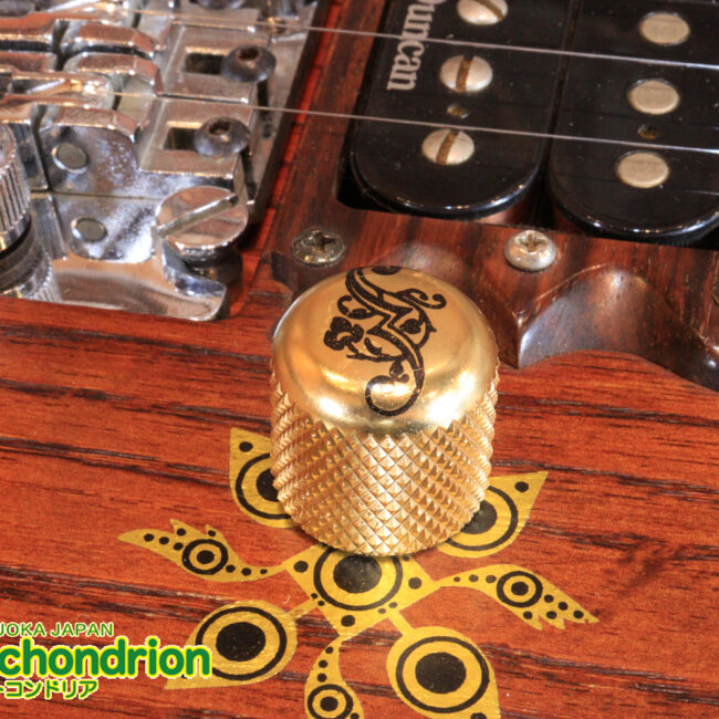 2020年に生産完了してしまったヴァイオレータのシタールです！