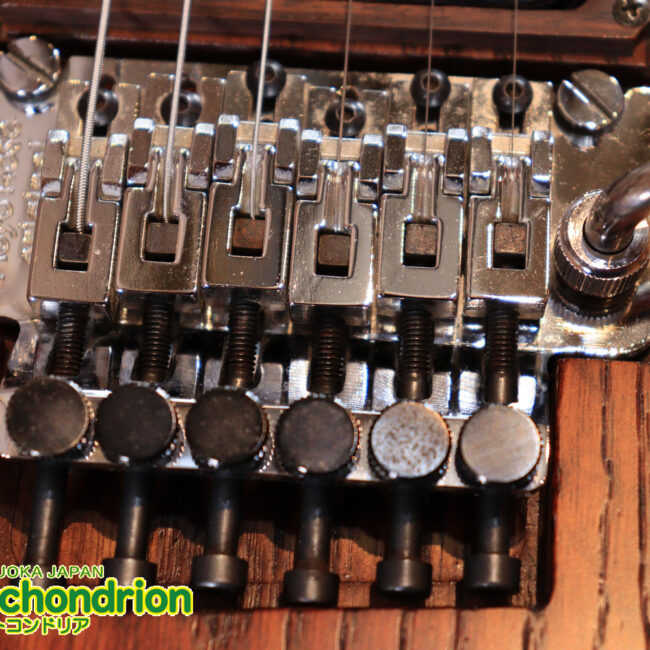 2020年に生産完了してしまったヴァイオレータのシタールです！