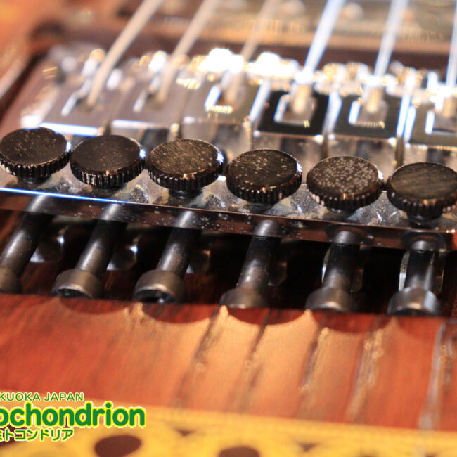 2020年に生産完了してしまったヴァイオレータのシタールです！