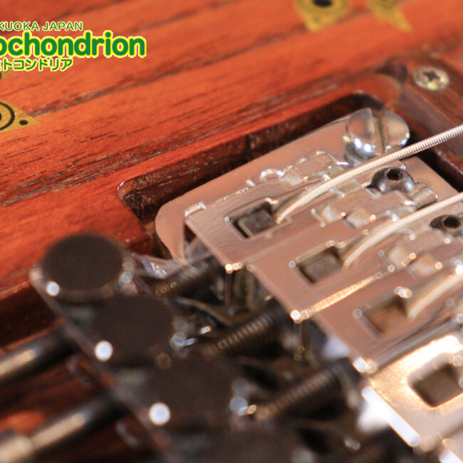 2020年に生産完了してしまったヴァイオレータのシタールです！