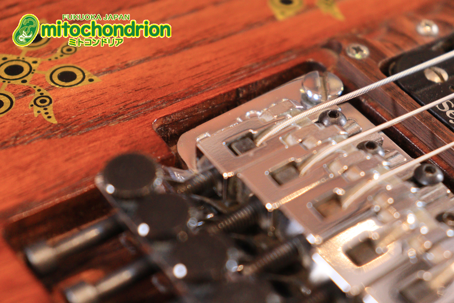 2020年に生産完了してしまったヴァイオレータのシタールです！