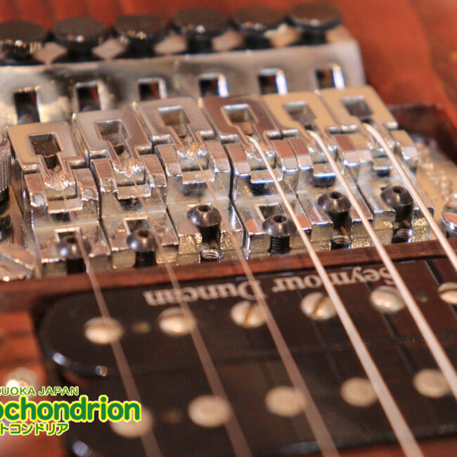 2020年に生産完了してしまったヴァイオレータのシタールです！