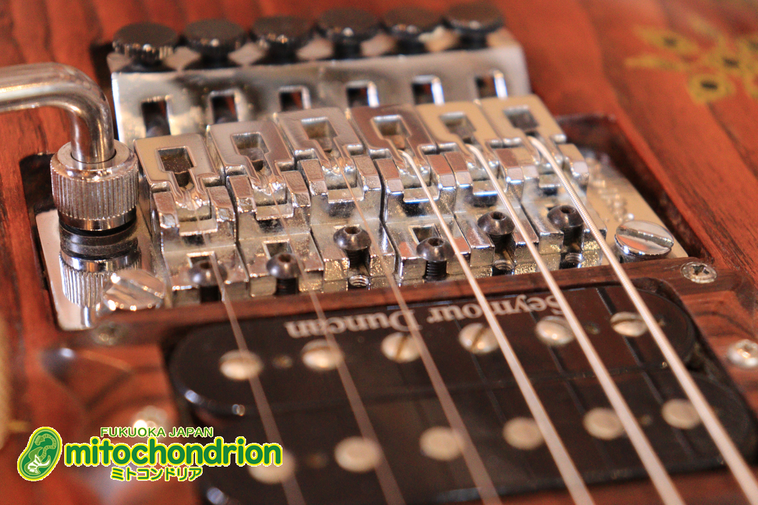 2020年に生産完了してしまったヴァイオレータのシタールです！