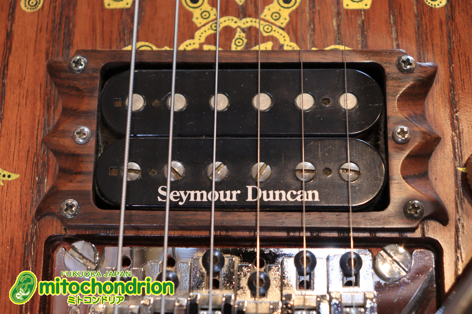 2020年に生産完了してしまったヴァイオレータのシタールです！