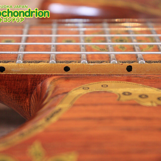 2020年に生産完了してしまったヴァイオレータのシタールです！