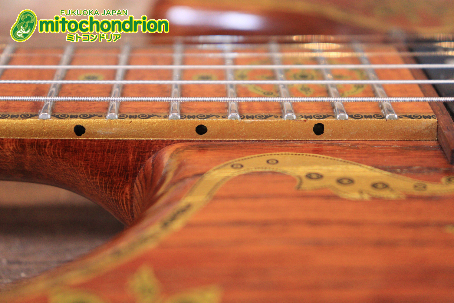 2020年に生産完了してしまったヴァイオレータのシタールです！