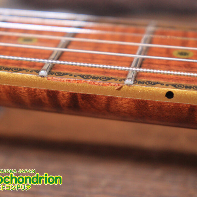 2020年に生産完了してしまったヴァイオレータのシタールです！