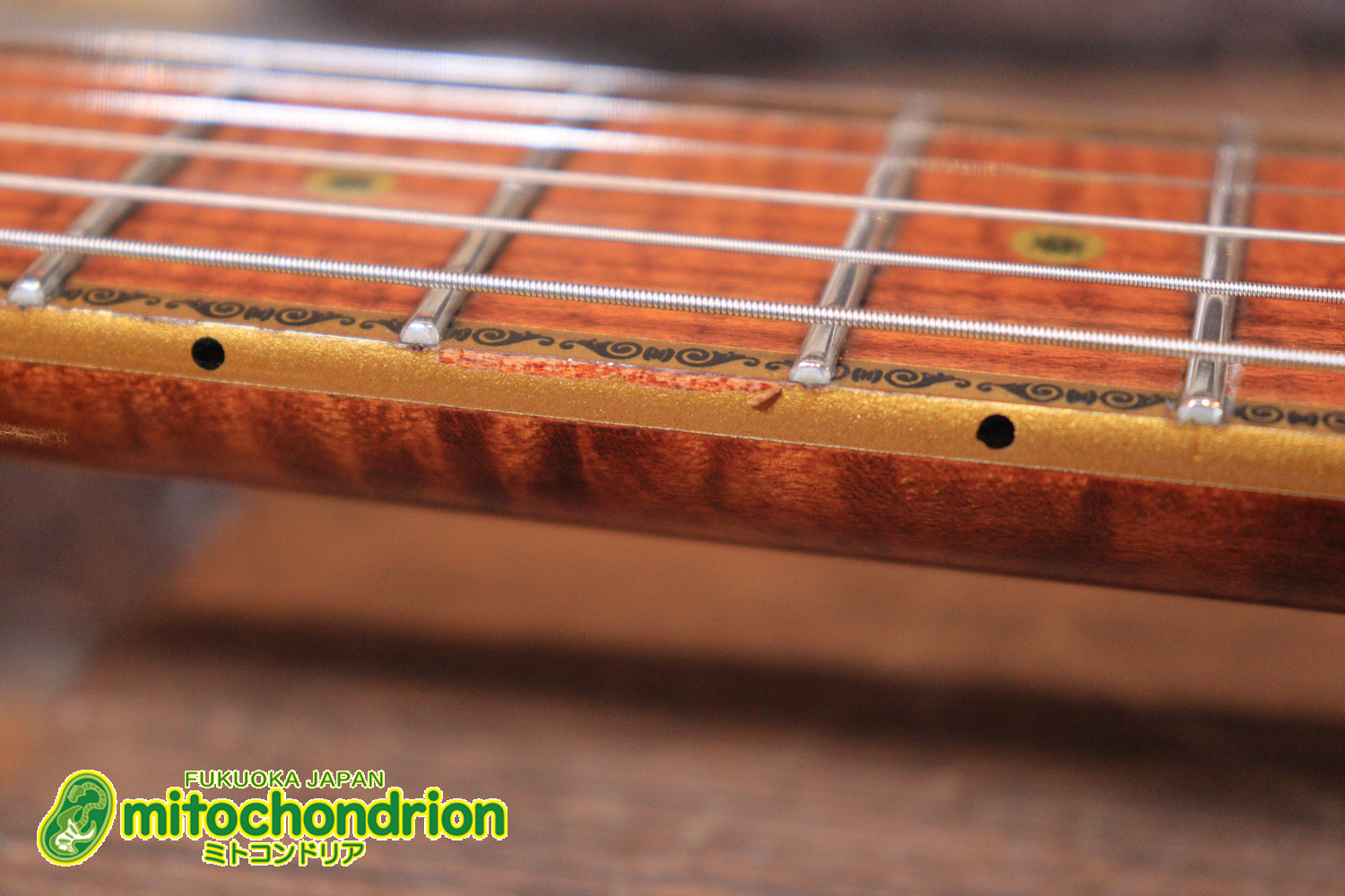 2020年に生産完了してしまったヴァイオレータのシタールです！