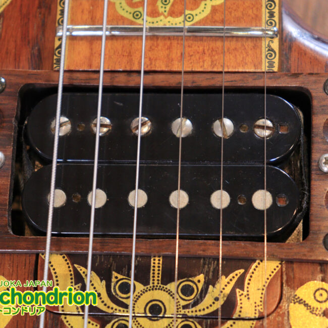 2020年に生産完了してしまったヴァイオレータのシタールです！