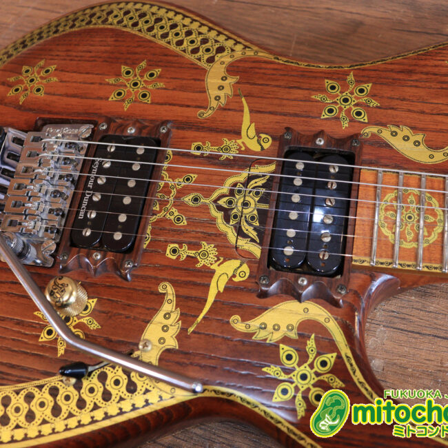 2020年に生産完了してしまったヴァイオレータのシタールです！