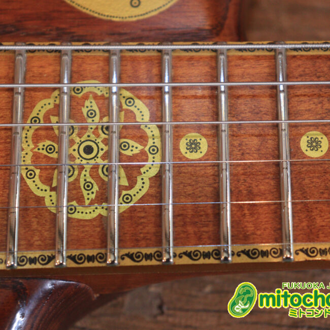 2020年に生産完了してしまったヴァイオレータのシタールです！