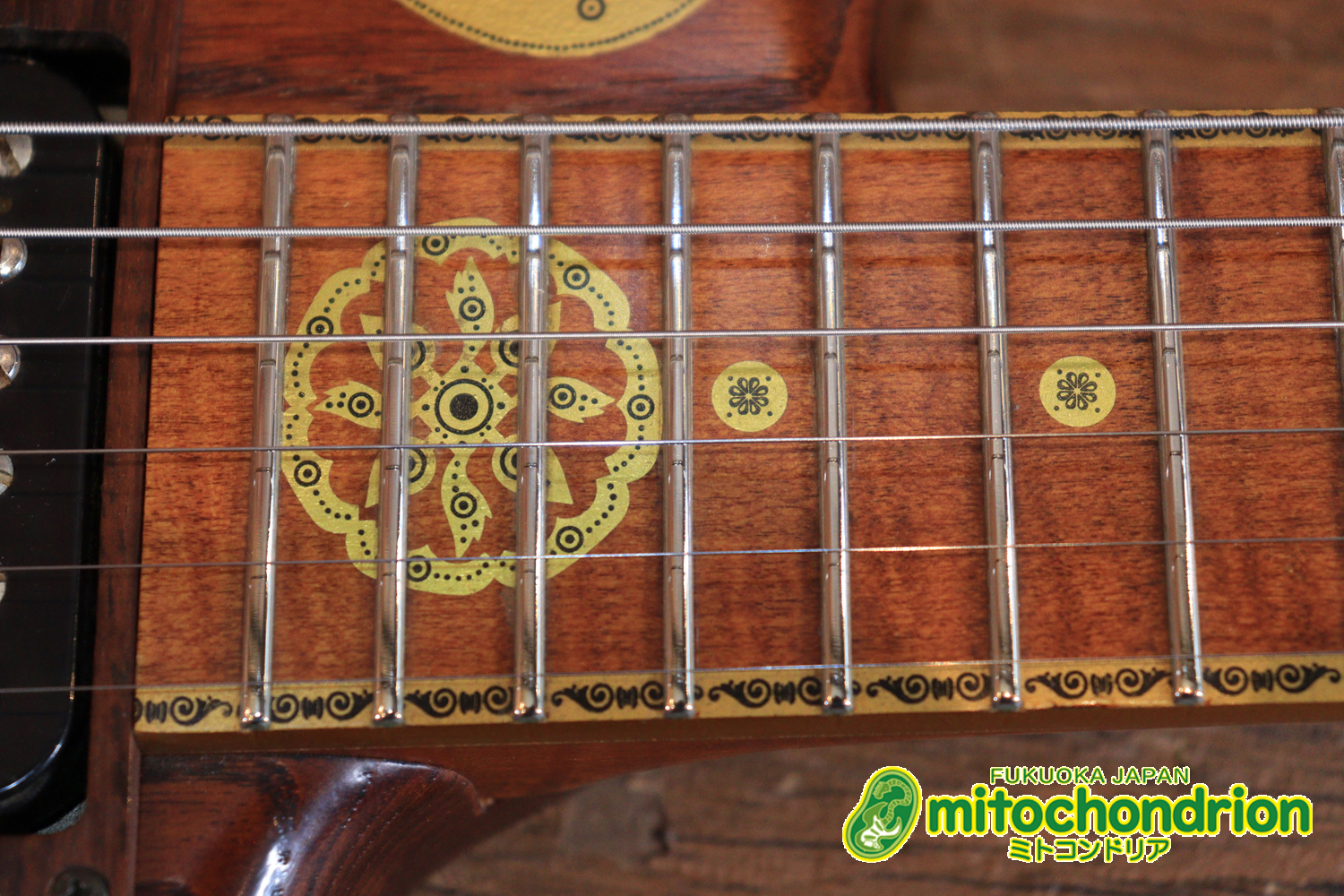 2020年に生産完了してしまったヴァイオレータのシタールです！