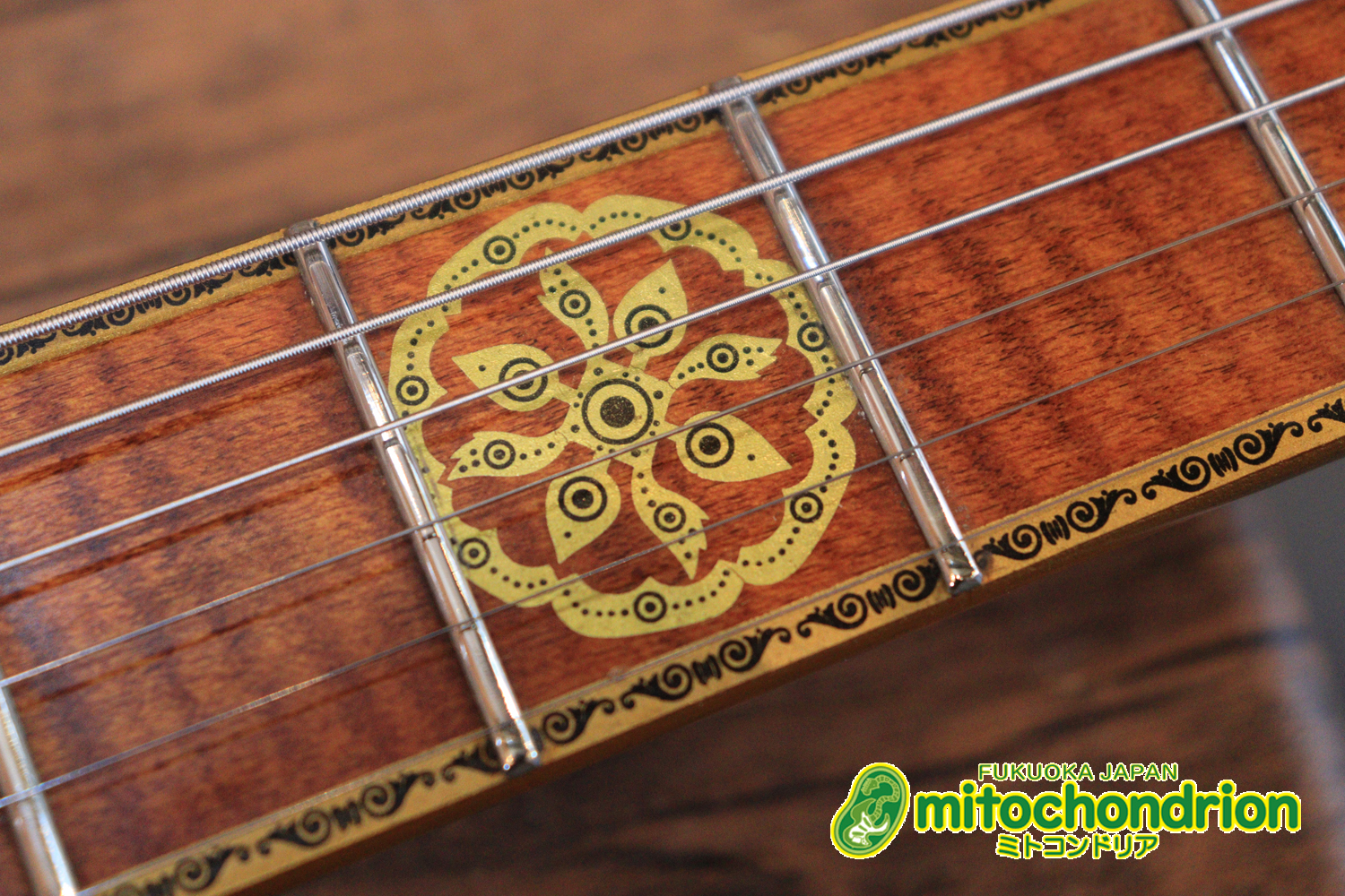 2020年に生産完了してしまったヴァイオレータのシタールです！