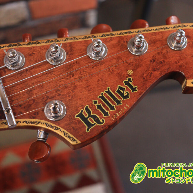 2020年に生産完了してしまったヴァイオレータのシタールです！