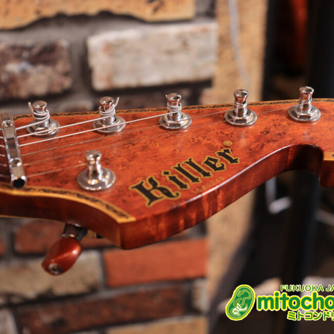 2020年に生産完了してしまったヴァイオレータのシタールです！