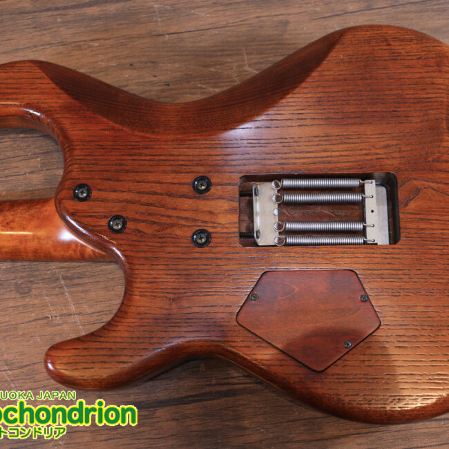 2020年に生産完了してしまったヴァイオレータのシタールです！