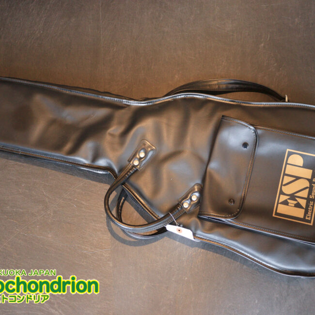 2020年に生産完了してしまったヴァイオレータのシタールです！