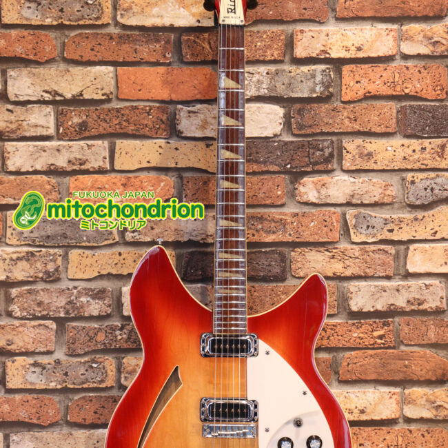 生産数の少ないダブルバインディング・ボディーの360！