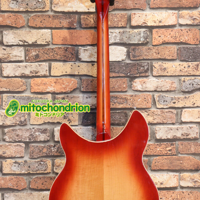 生産数の少ないダブルバインディング・ボディーの360！