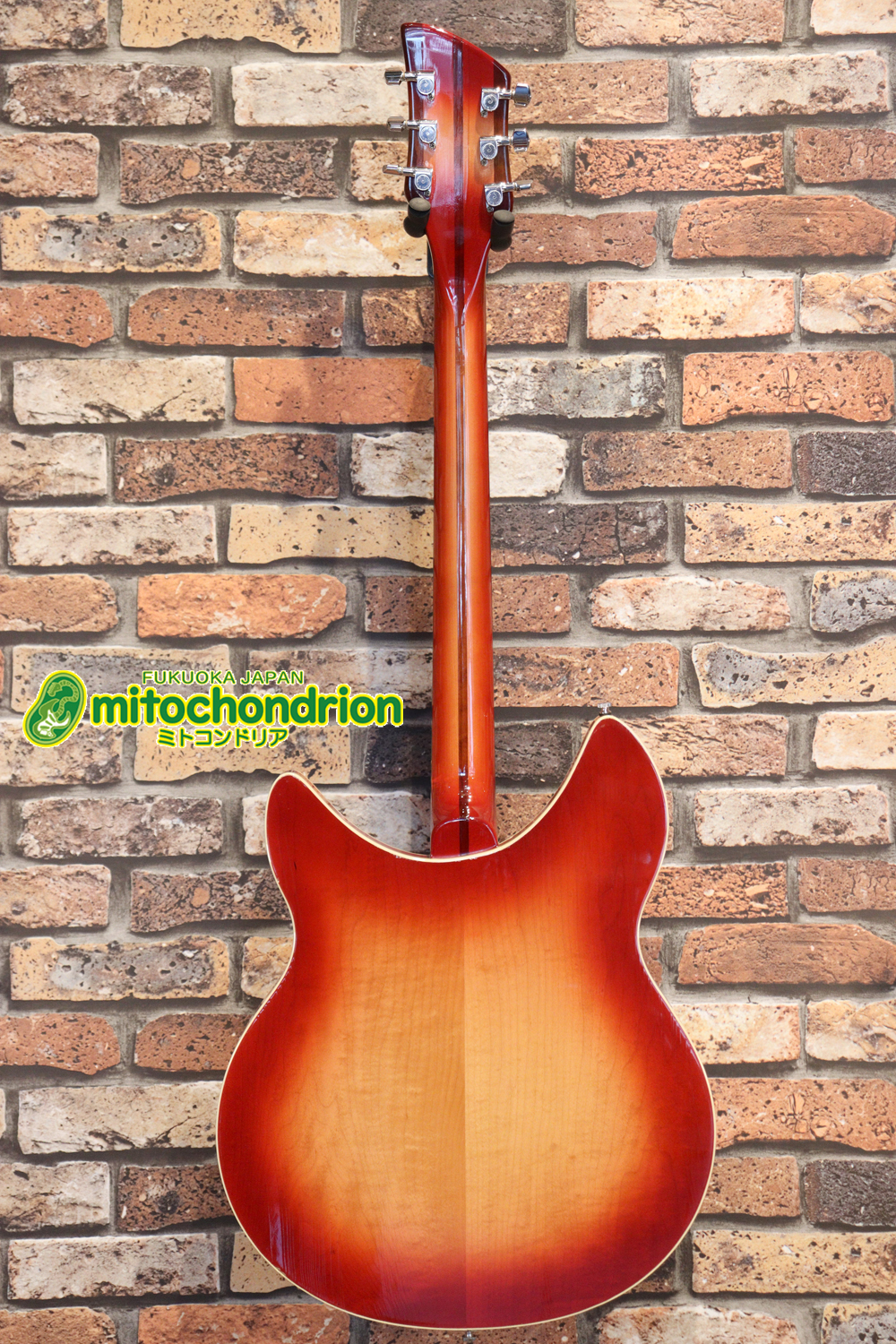 生産数の少ないダブルバインディング・ボディーの360！