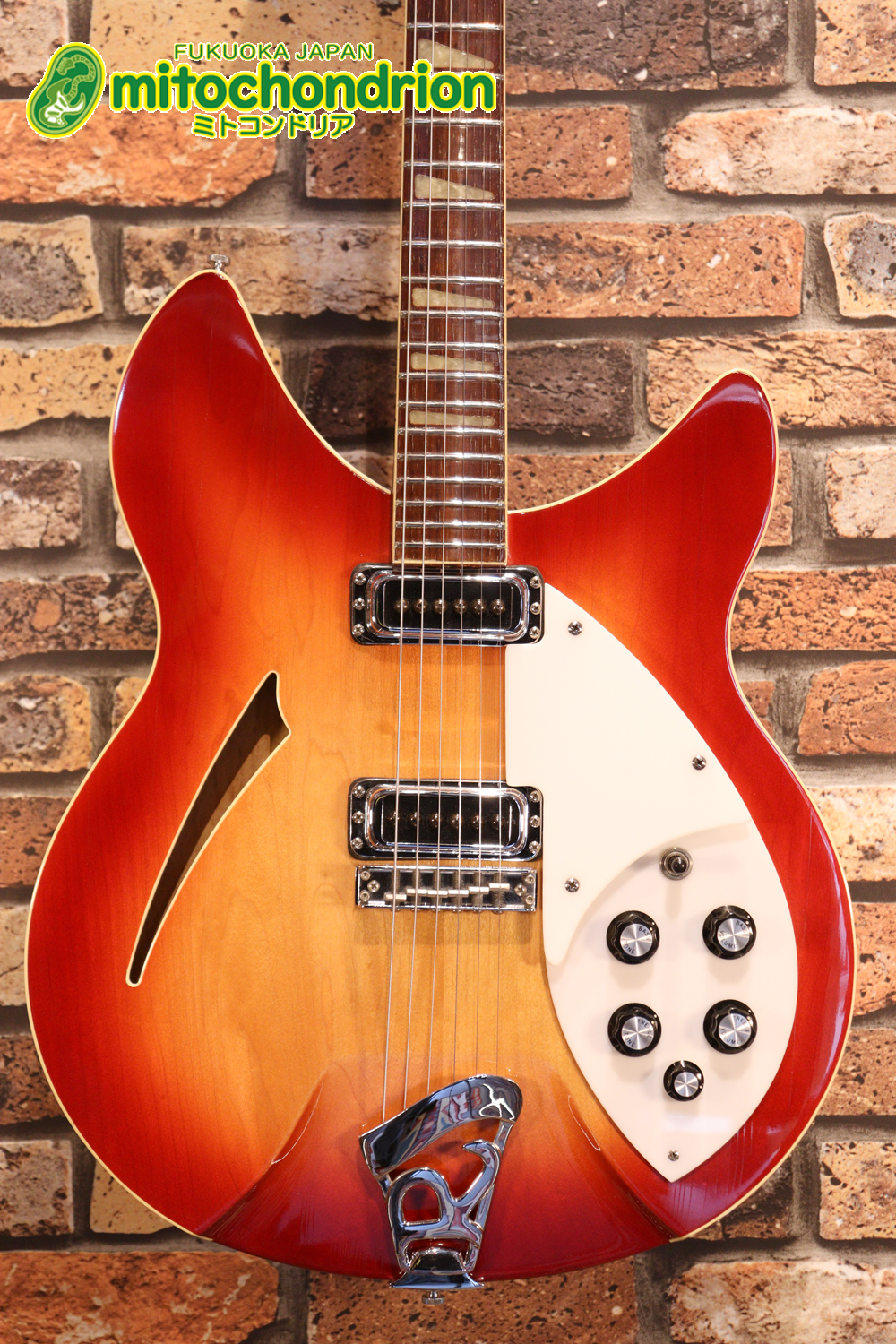 生産数の少ないダブルバインディング・ボディーの360！