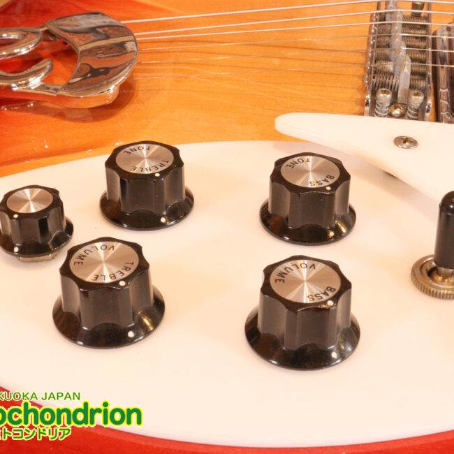 生産数の少ないダブルバインディング・ボディーの360！