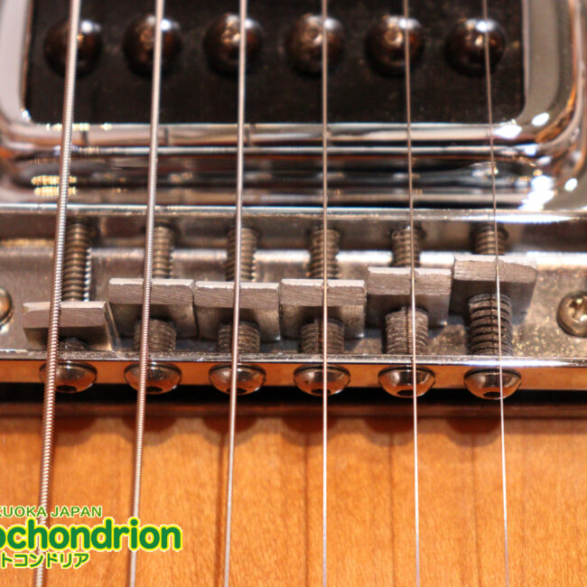 生産数の少ないダブルバインディング・ボディーの360！