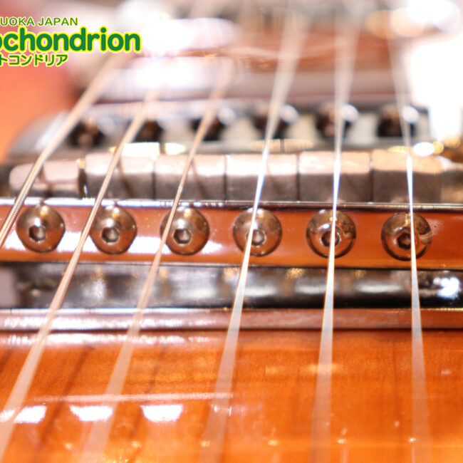 生産数の少ないダブルバインディング・ボディーの360！