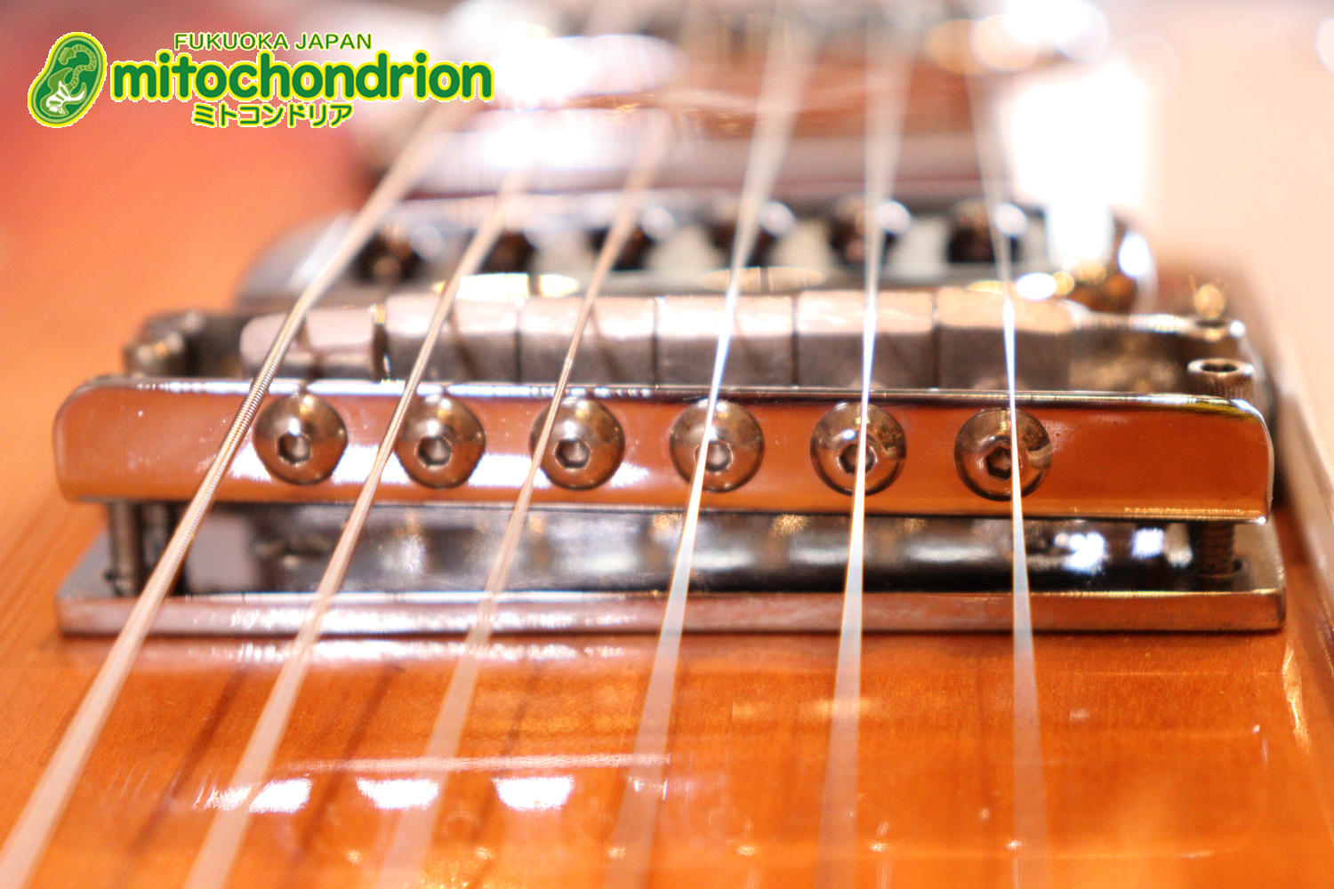 生産数の少ないダブルバインディング・ボディーの360！