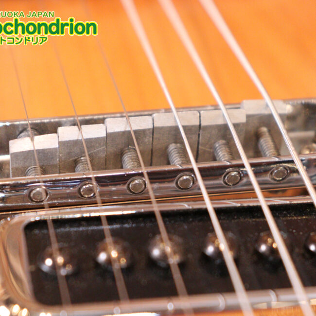 生産数の少ないダブルバインディング・ボディーの360！