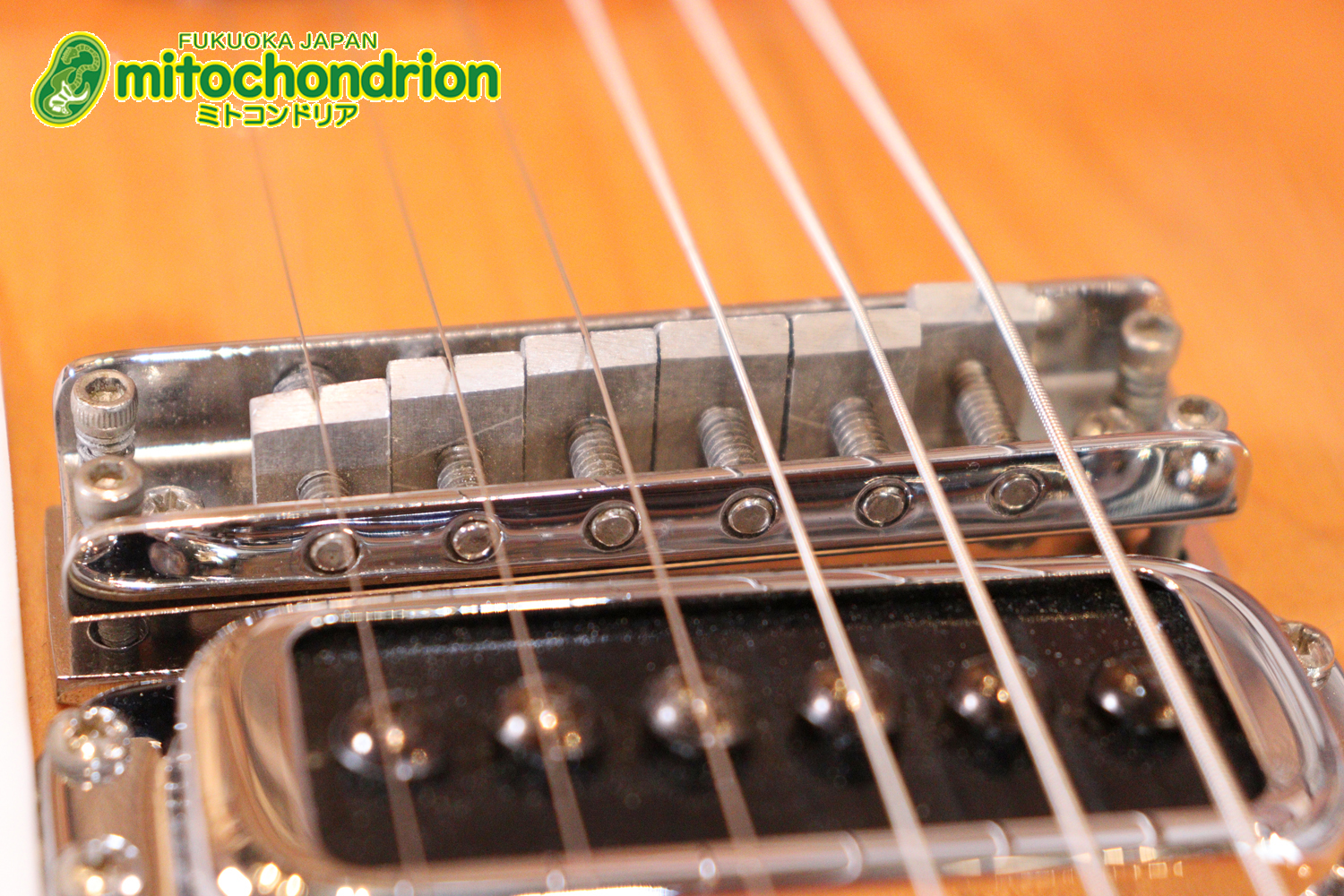 生産数の少ないダブルバインディング・ボディーの360！