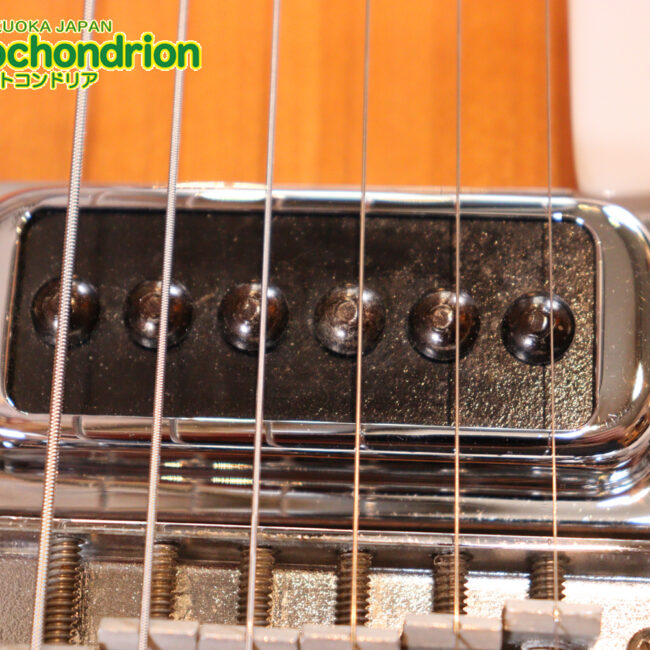 生産数の少ないダブルバインディング・ボディーの360！