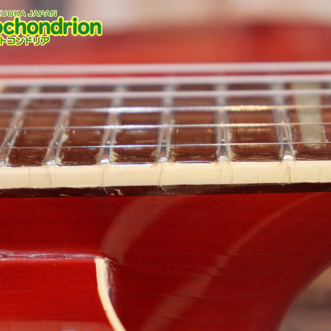 生産数の少ないダブルバインディング・ボディーの360！