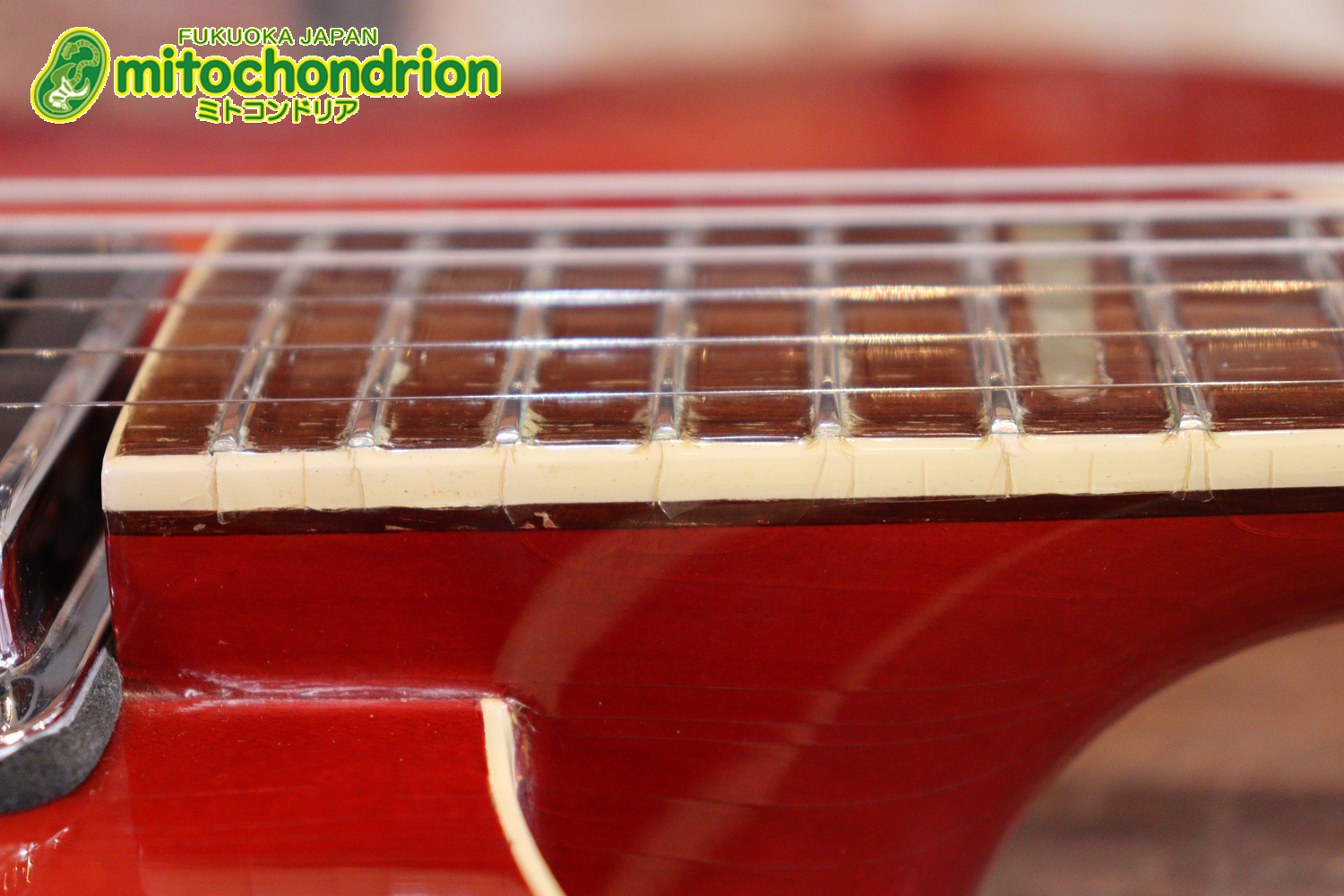 生産数の少ないダブルバインディング・ボディーの360！