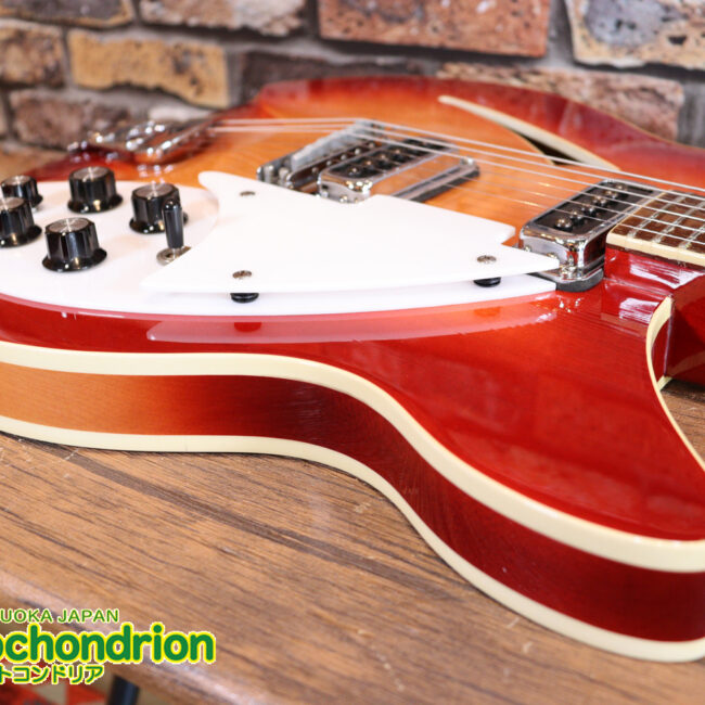 生産数の少ないダブルバインディング・ボディーの360！