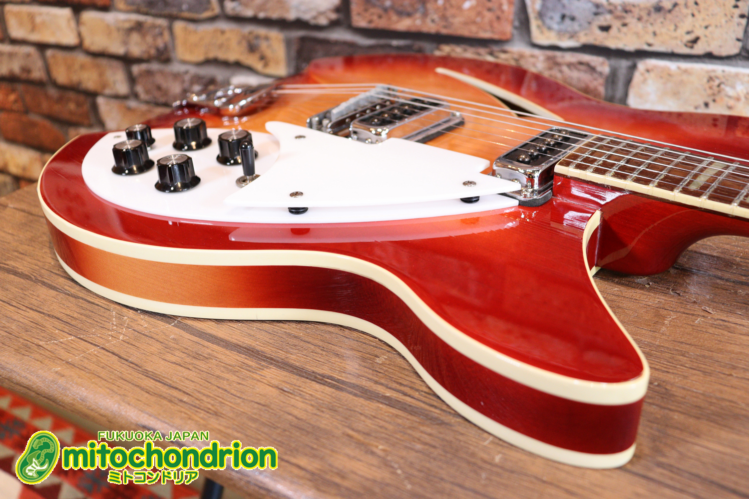 生産数の少ないダブルバインディング・ボディーの360！