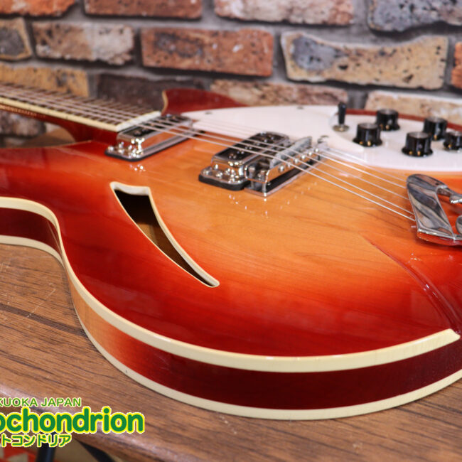 生産数の少ないダブルバインディング・ボディーの360！