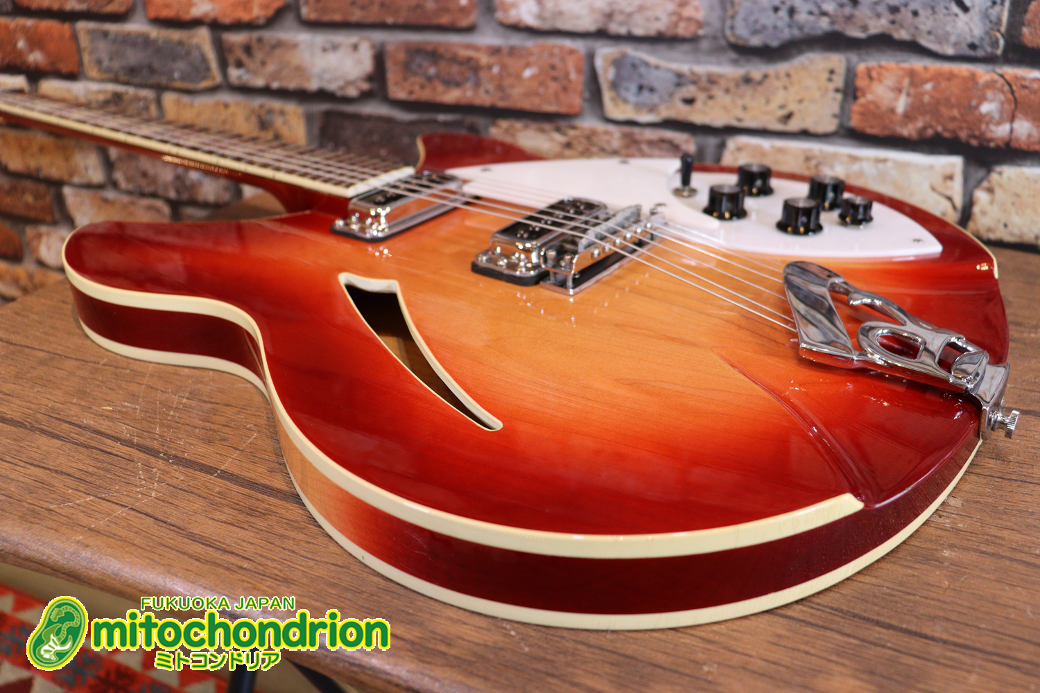 生産数の少ないダブルバインディング・ボディーの360！