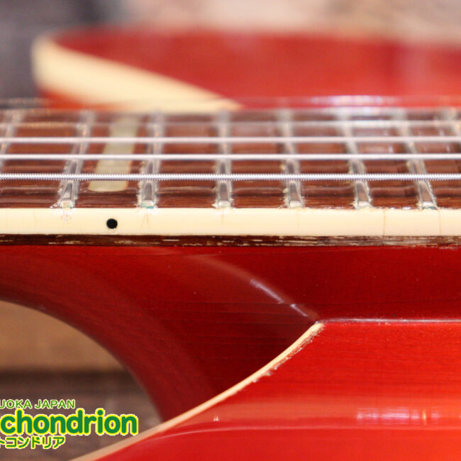 生産数の少ないダブルバインディング・ボディーの360！