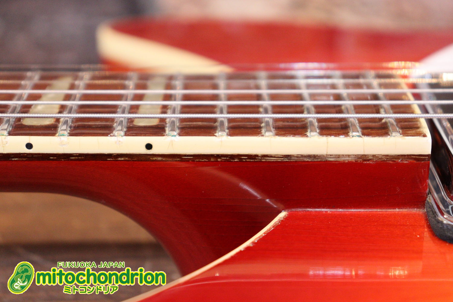 生産数の少ないダブルバインディング・ボディーの360！