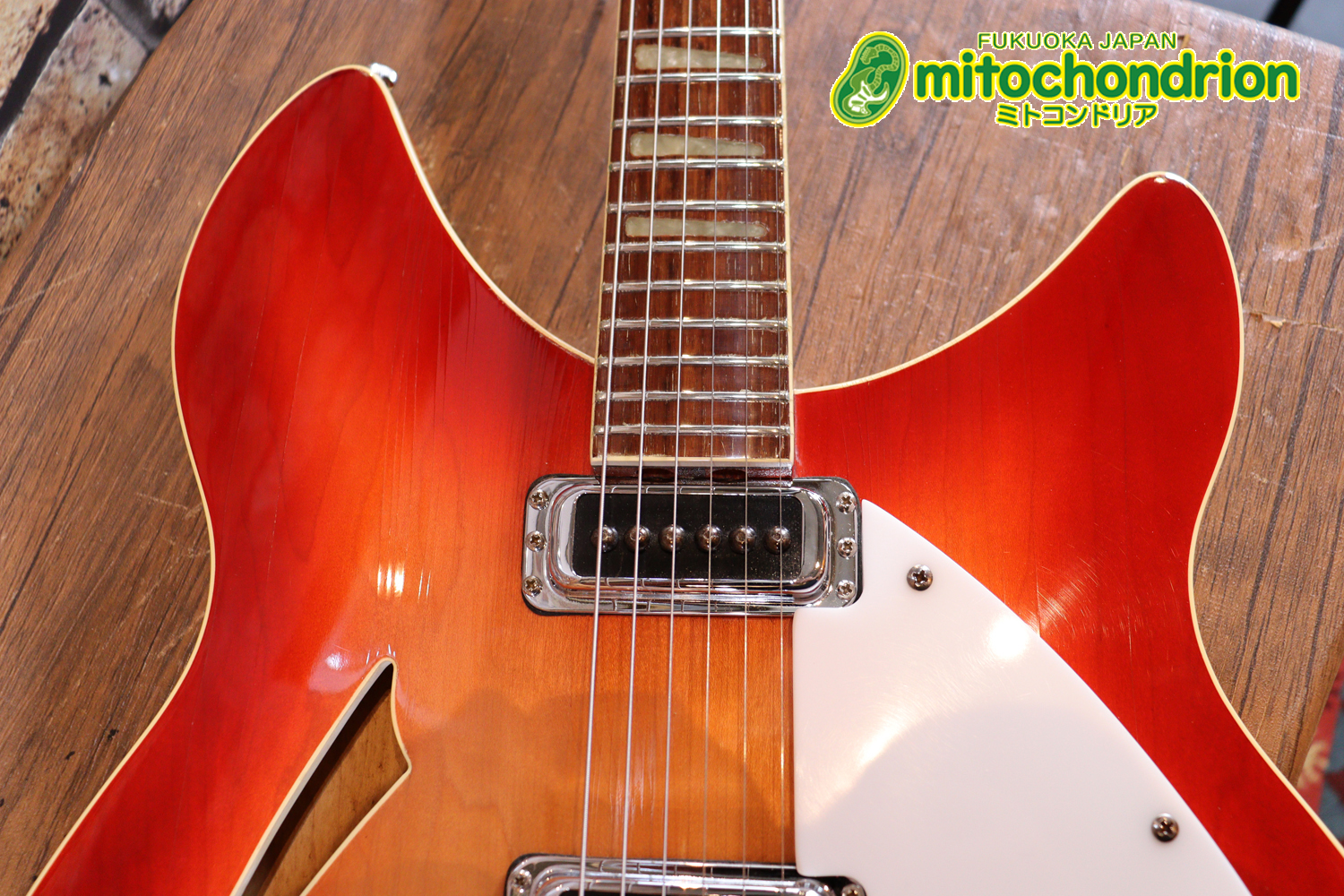 生産数の少ないダブルバインディング・ボディーの360！