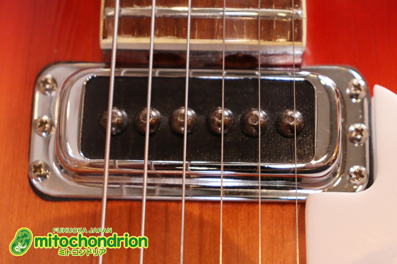 生産数の少ないダブルバインディング・ボディーの360！