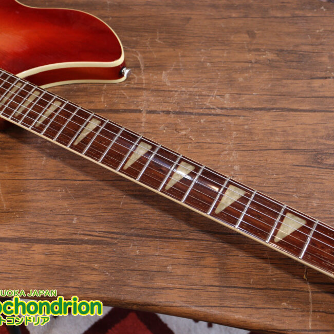 生産数の少ないダブルバインディング・ボディーの360！